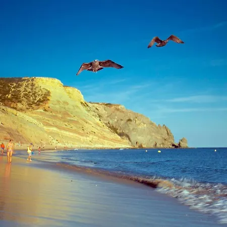 公寓 Akisol In Burgau *